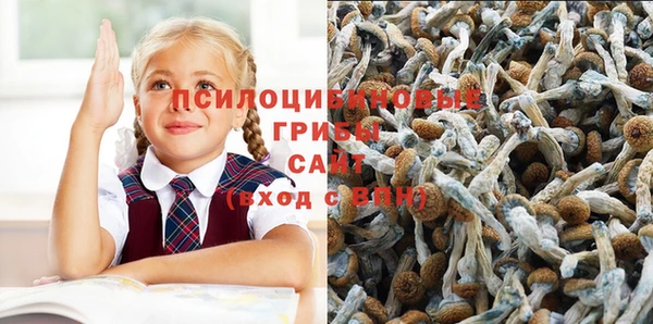 амфетамин Аркадак