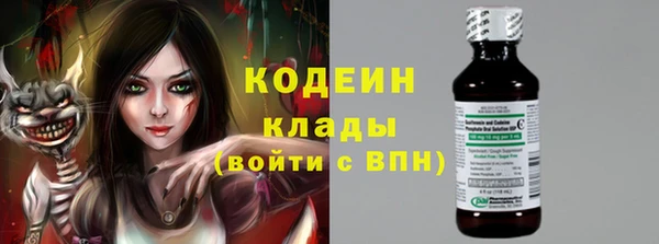 молекула духа Арсеньев