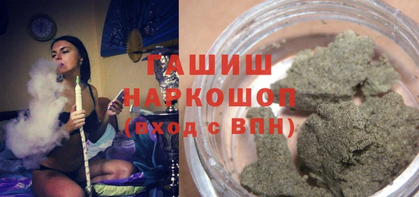 молекула духа Арсеньев