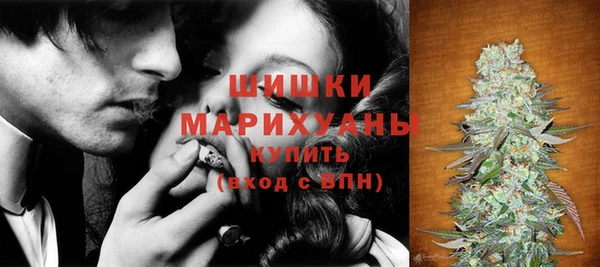 молекула духа Арсеньев
