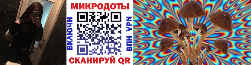 Псилоцибиновые грибы Psilocybine cubensis Отрадный